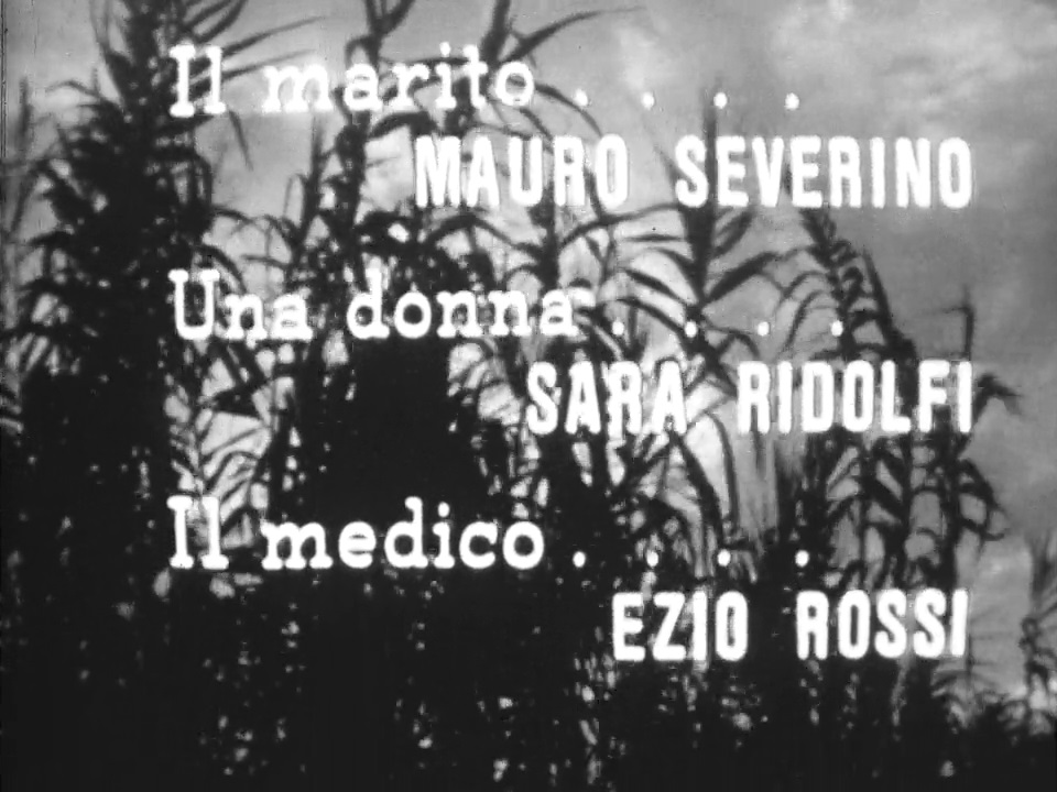 Canne Al Vento - Ezio Rossi4.jpg