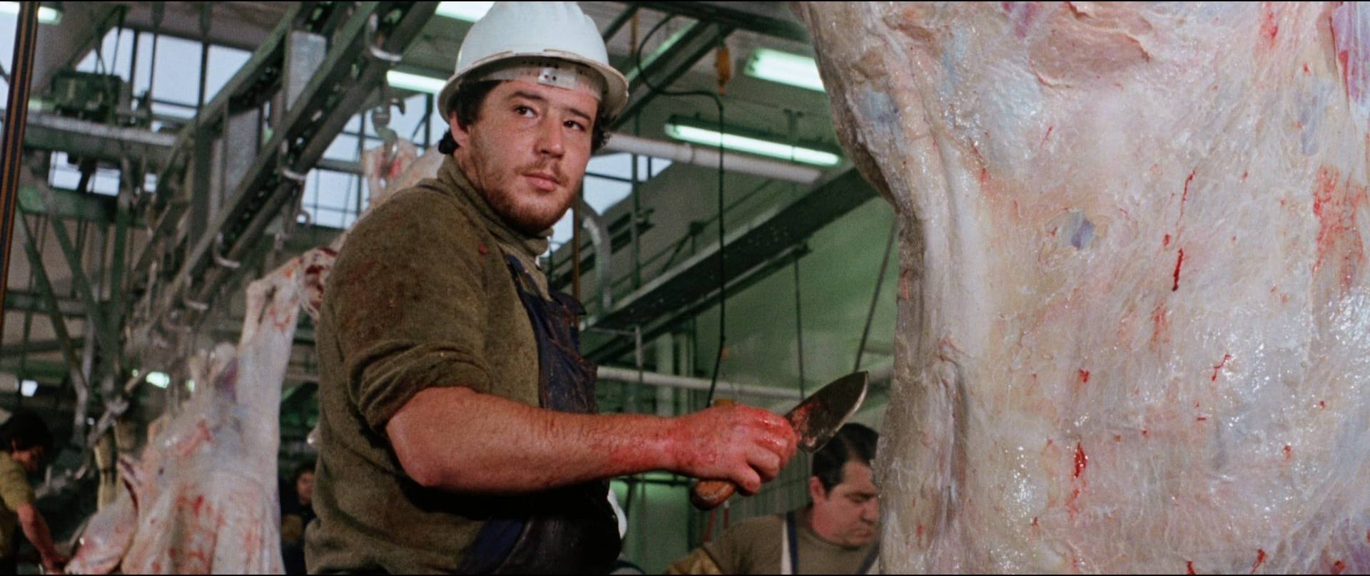 z 10 Worker at the slaughterhouse.jpg