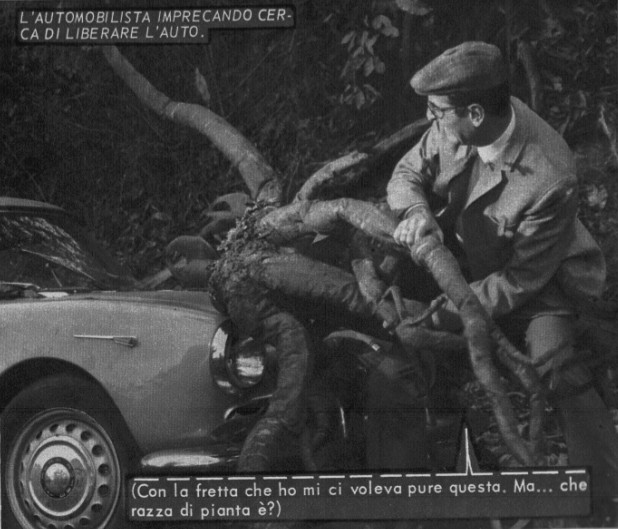 Le avventure di Jacques Douglas N. 42 Foreste di un mondo lontano  (published March 1969) 3.jpg