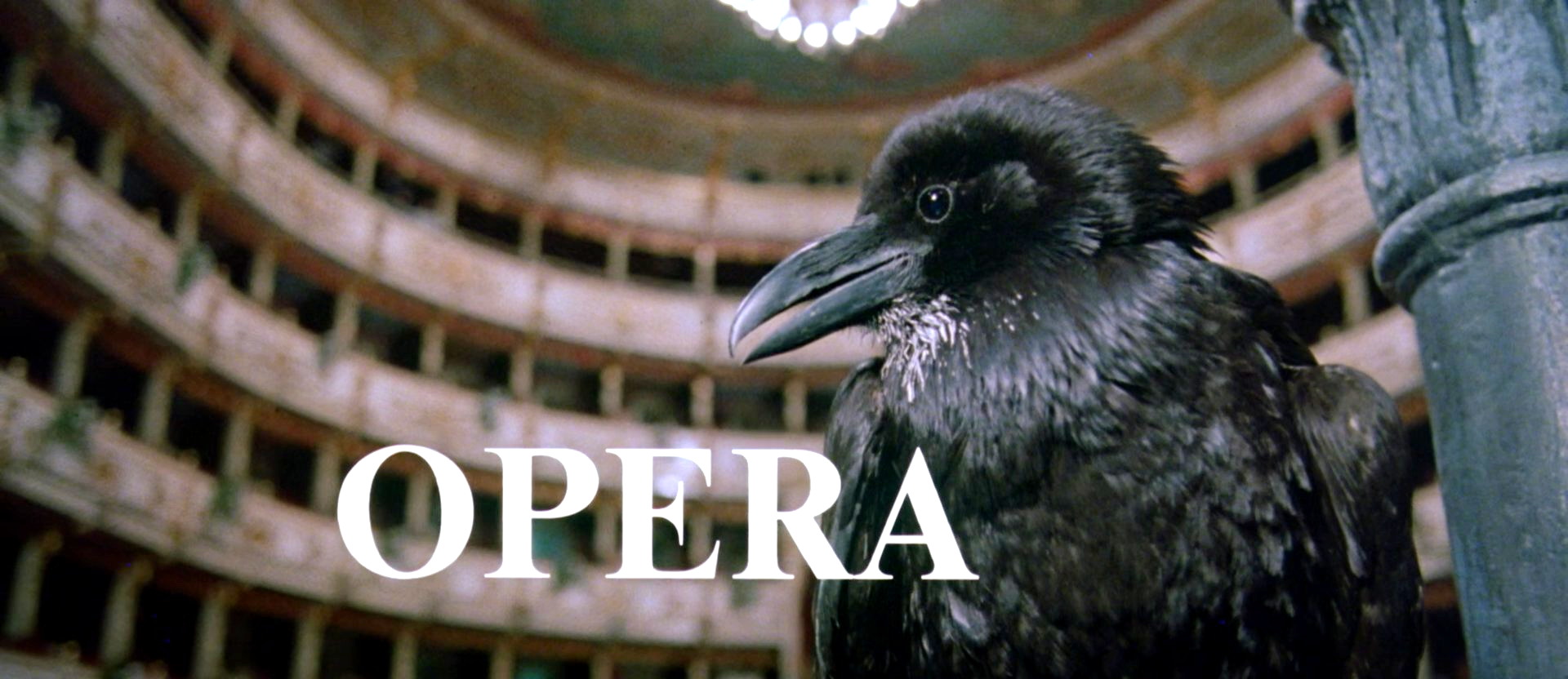 Opera (1987) TItle.jpg