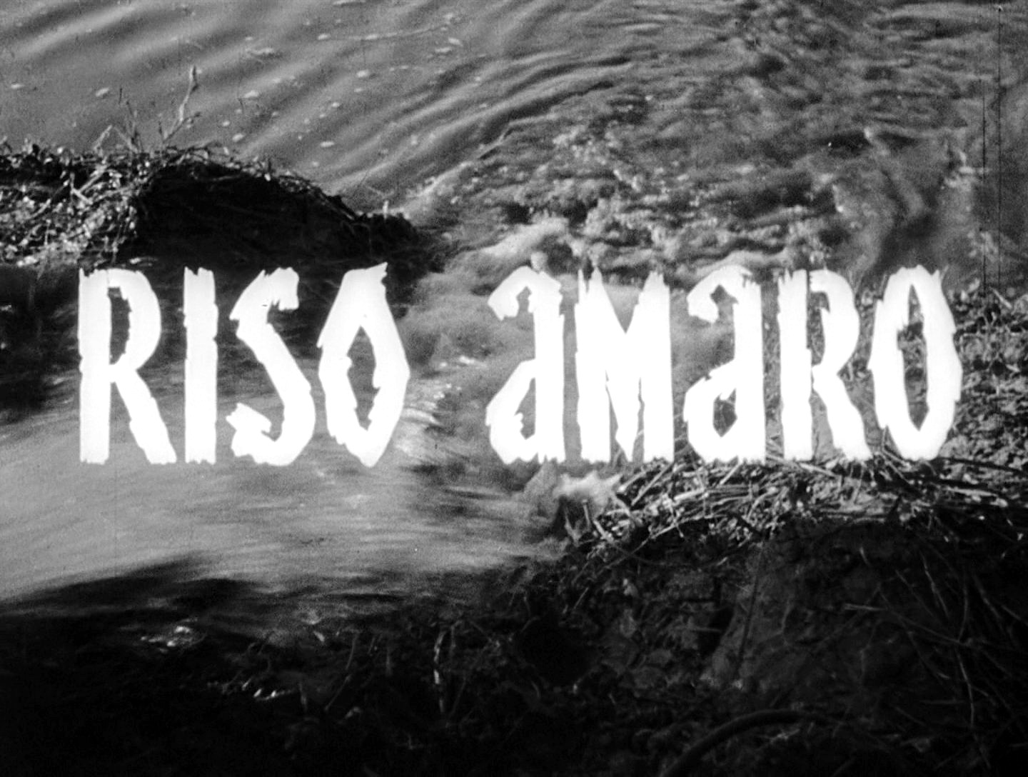 Riso amaro (1949) 0002.jpg