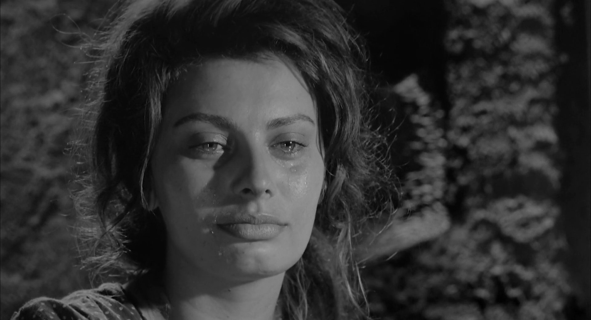 La ciociara (1960) Sophia Loren.jpg