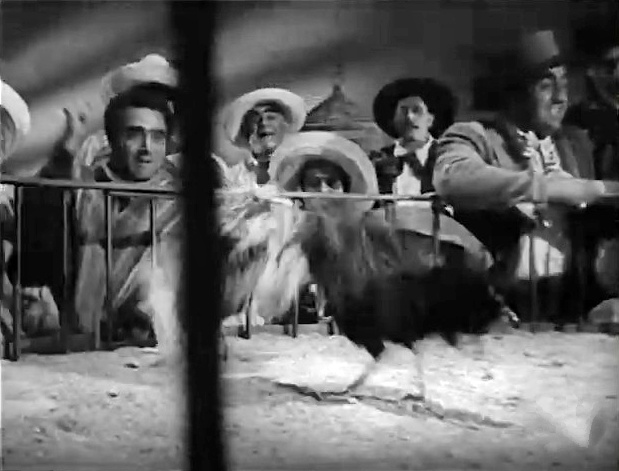 Il Sogno Di Zorro 1952 (480p_25fps_H264-128kbit_AAC)6.jpg