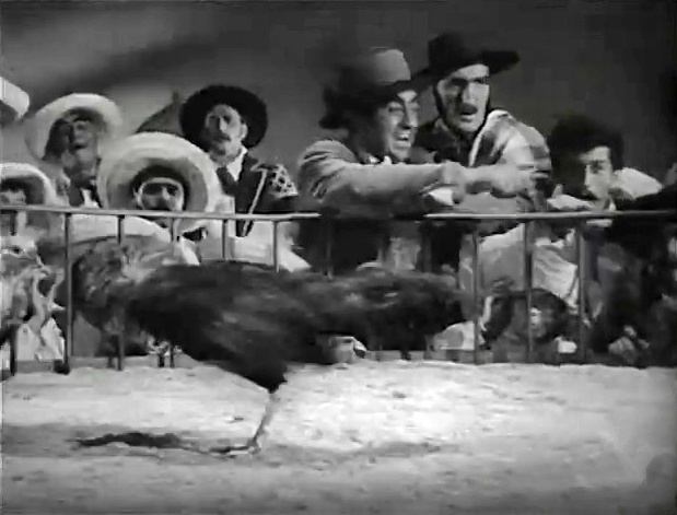 Il Sogno Di Zorro 1952 (480p_25fps_H264-128kbit_AAC)4.jpg