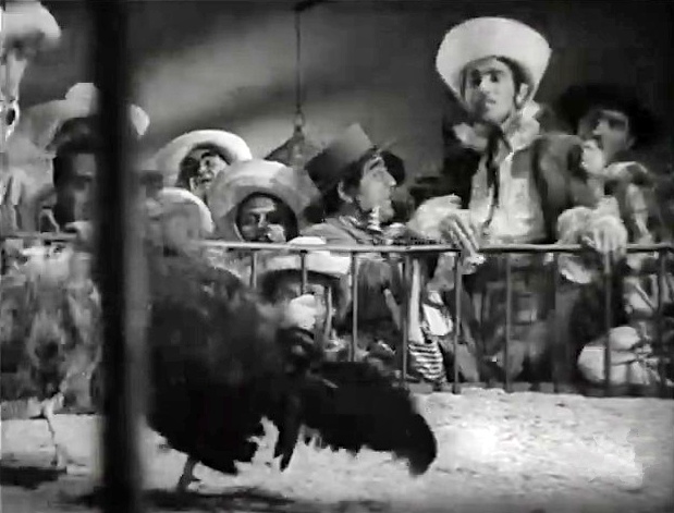 Il Sogno Di Zorro 1952 (480p_25fps_H264-128kbit_AAC)7.jpg