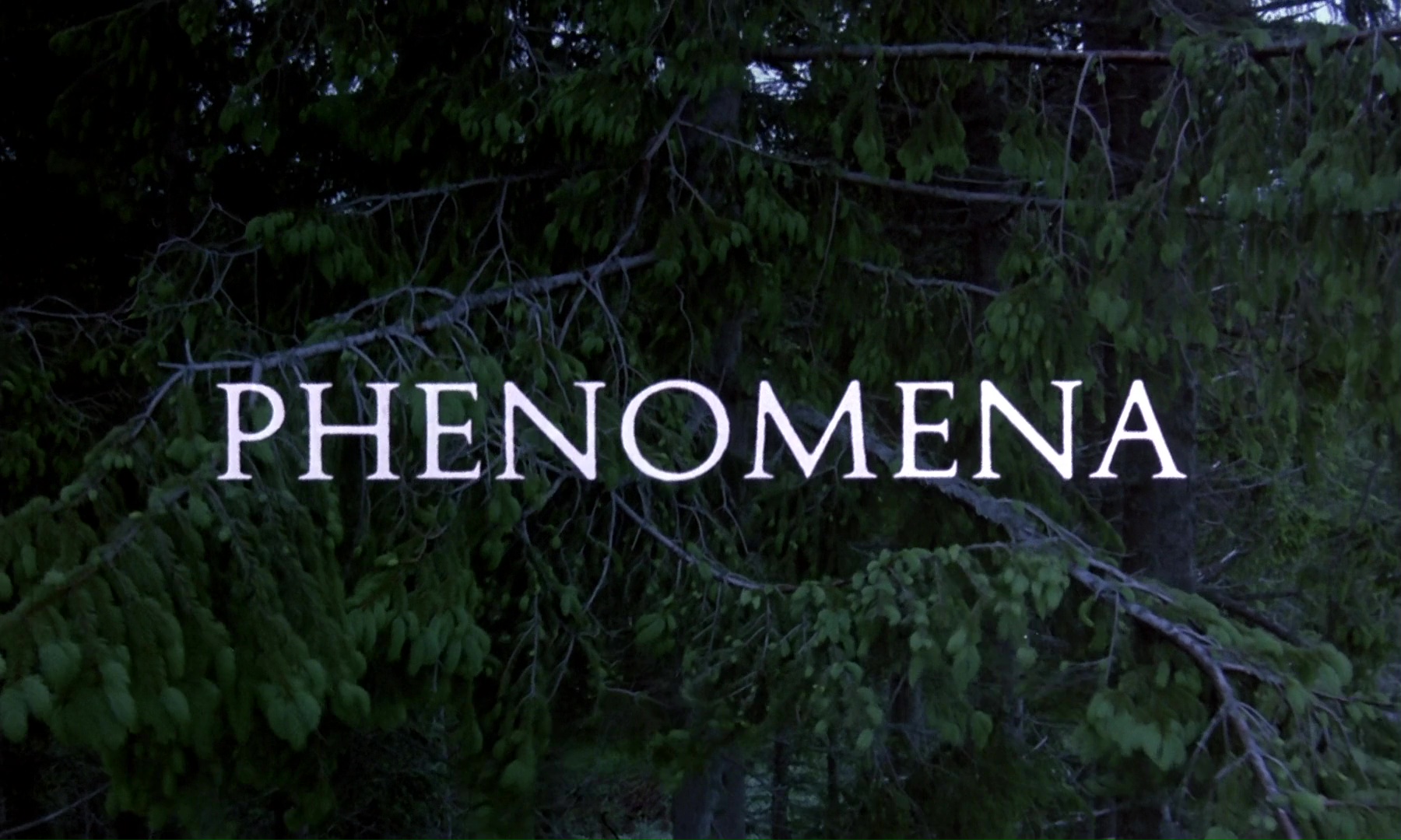 Phenomena (1985) HD 001.jpg