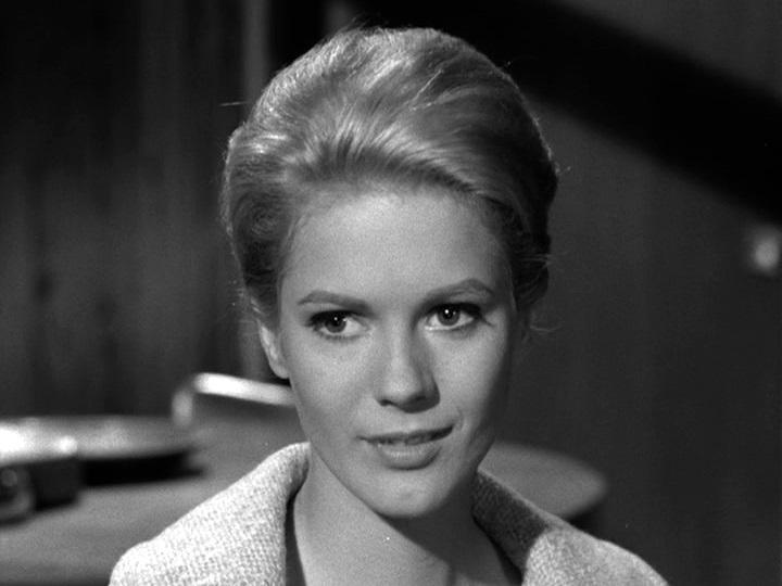 Perry Mason 8x9 - Mimsy Farmer1.jpg