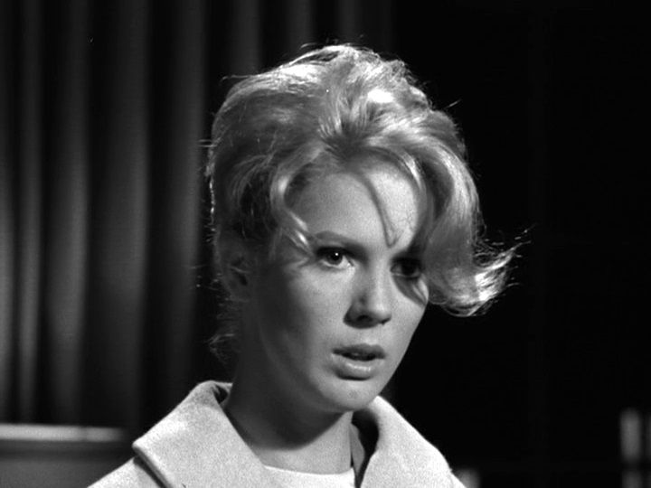 Perry Mason 8x9 - Mimsy Farmer4.jpg