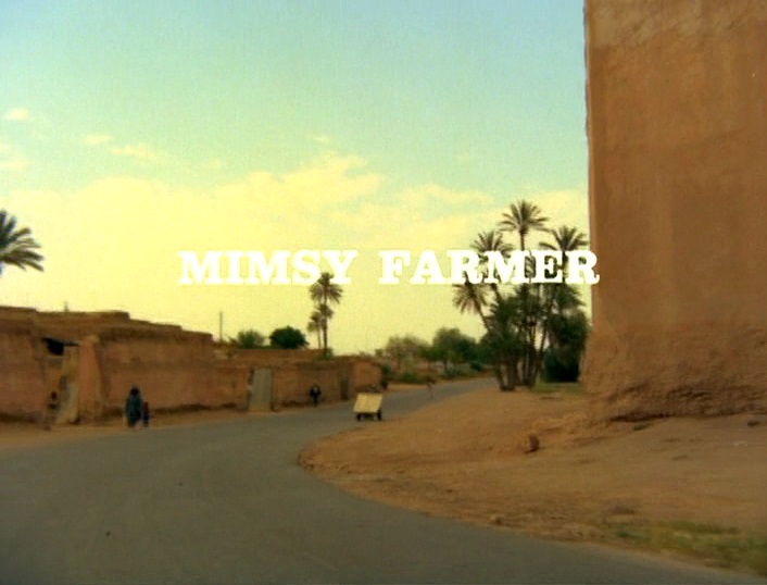 Mille Et Une - Mimsy Farmer6.jpg
