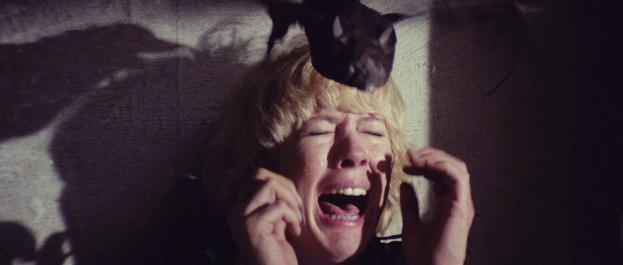 Black Cat - Mimsy Farmer9.jpg