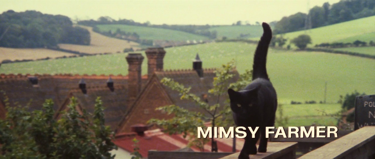 Black Cat - Mimsy Farmer11.jpg